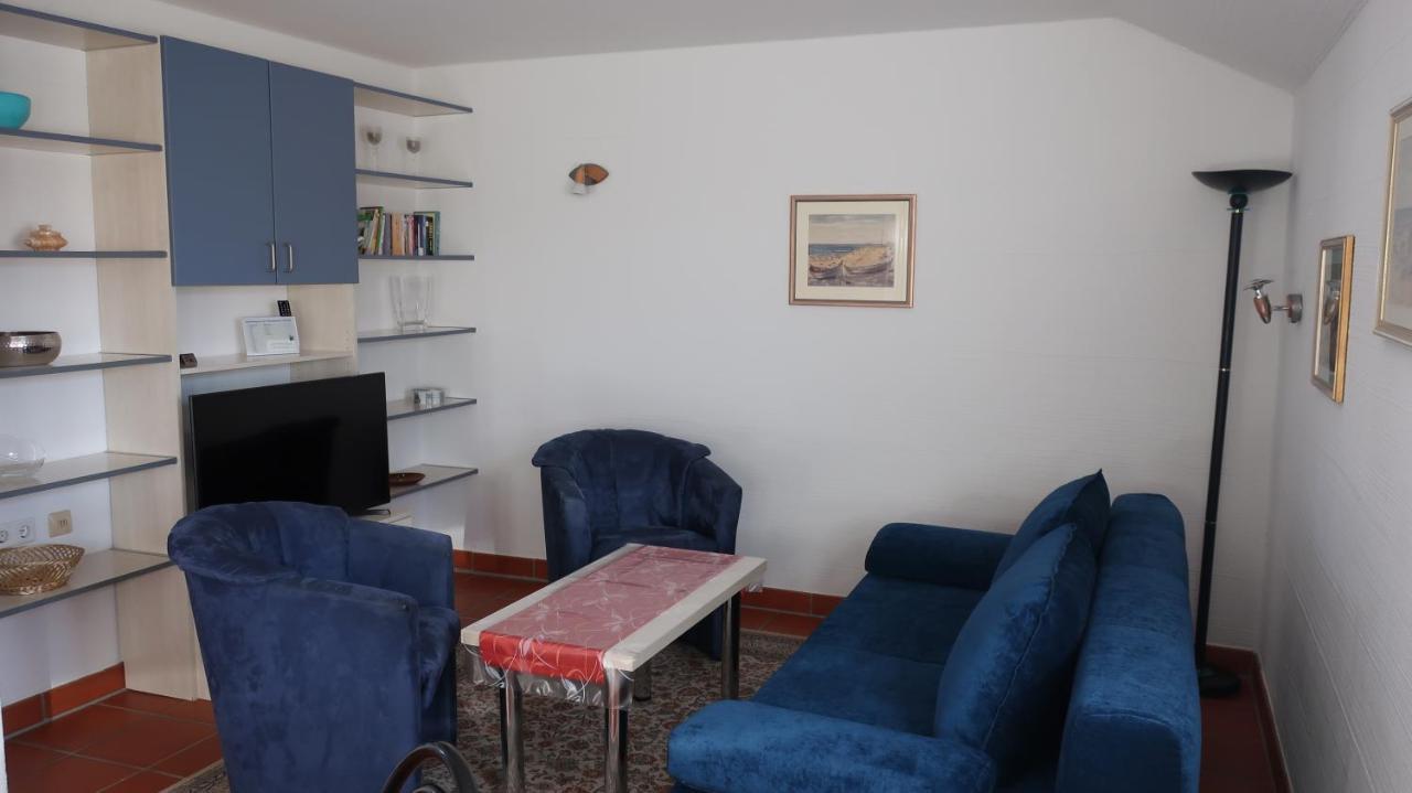 Bernsteinnixe درانسكي المظهر الخارجي الصورة